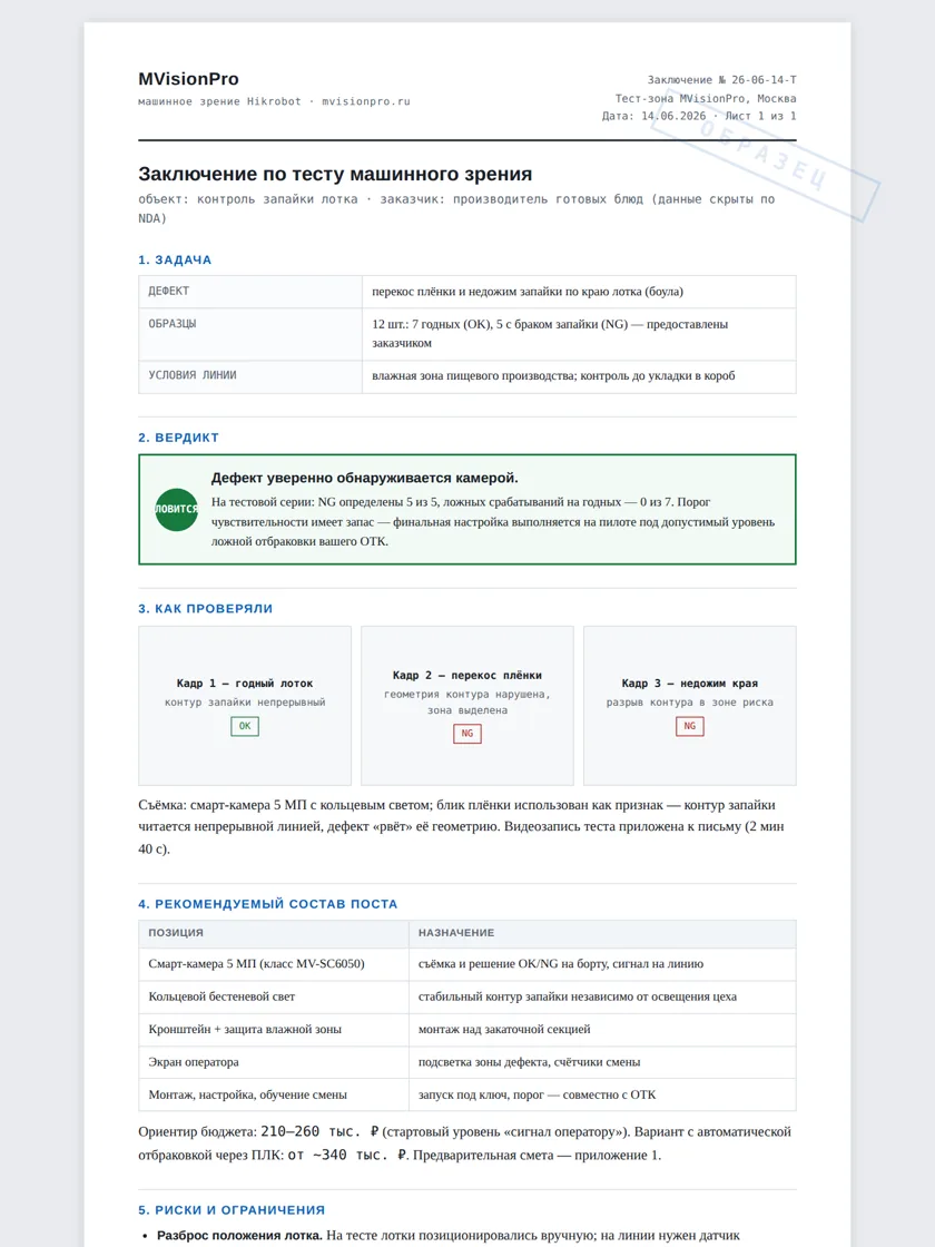 Образец заключения по тесту машинного зрения